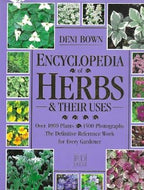 Encyclopedia of Herbs & Their Uses by Deni Bown 1995