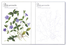 Load image into Gallery viewer, Mon herbier à colorier 40 planches botaniques détachables à colorier ou à peindre 2018