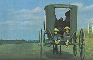 Wonderful Good Cooking From Amish Country Kitchens by Fred J. Wilson 1974